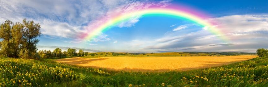 Картина на холсте Панорама, арт hd0359401